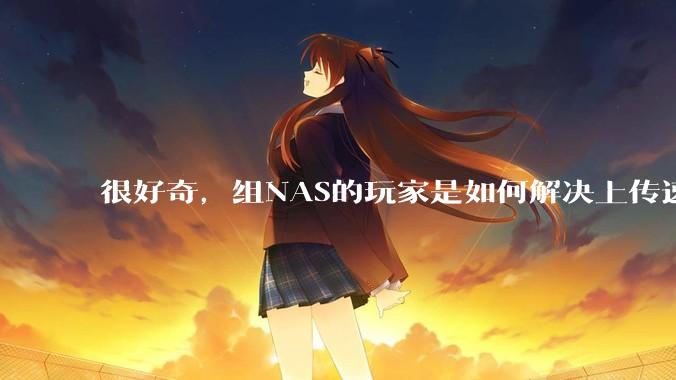 很好奇，组NAS的玩家是如何解决上传速率的问题?