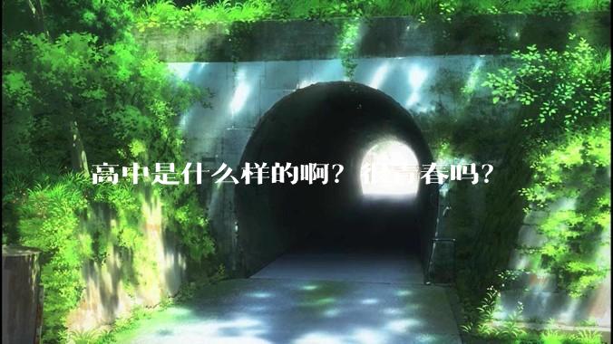 高中是什么样的啊？很青春吗？