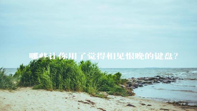 哪些让你用了觉得相见恨晚的键盘？
