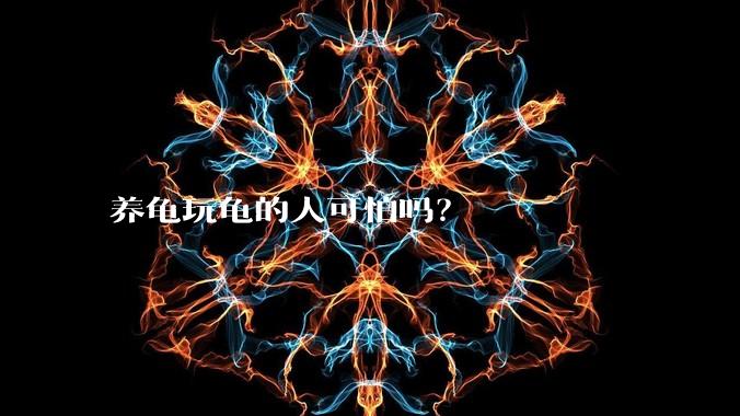 养龟玩龟的人可怕吗？
