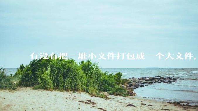 有没有把一堆小文件打包成一个大文件，但同时也能让程序无感作为文件夹访问的方法？