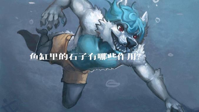 鱼缸里的石子有哪些作用？