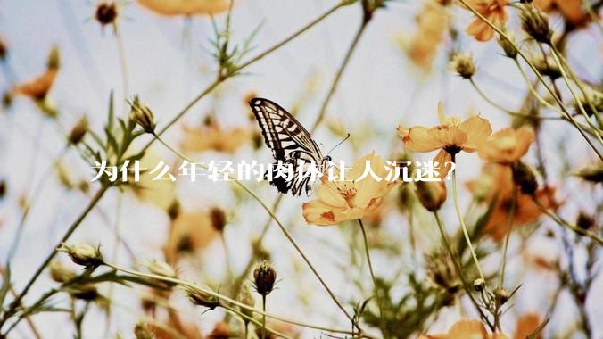 为什么年轻的肉体让人沉迷？