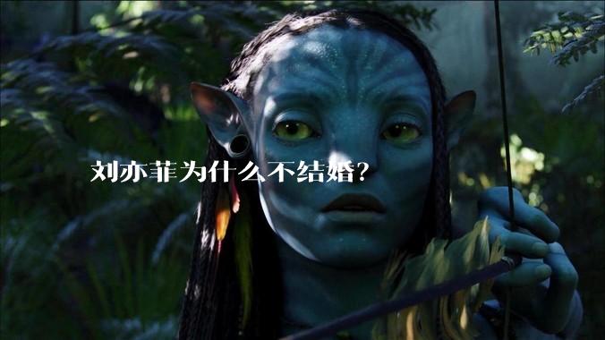 刘亦菲为什么不结婚？