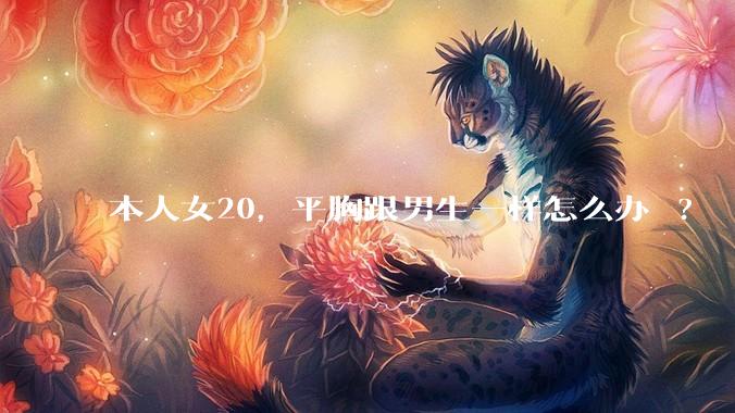 本人女20，平胸跟男生一样怎么办 ?