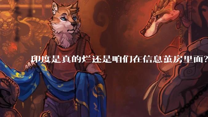 印度是真的烂还是咱们在信息茧房里面？