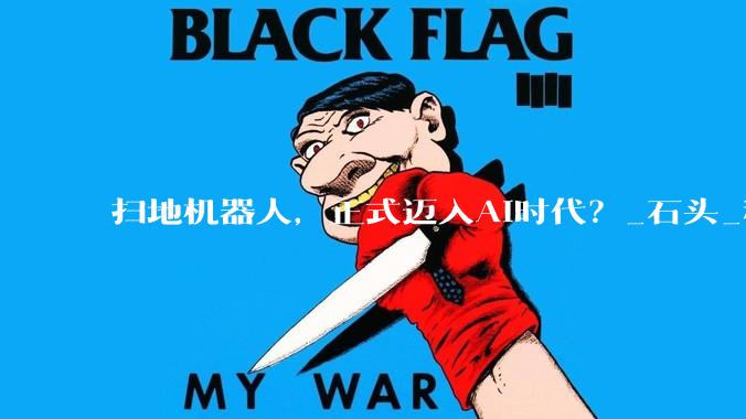 扫地机器人，正式迈入AI时代？_石头_科技_同比