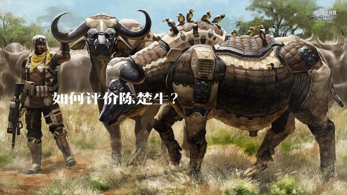 如何评价陈楚生？