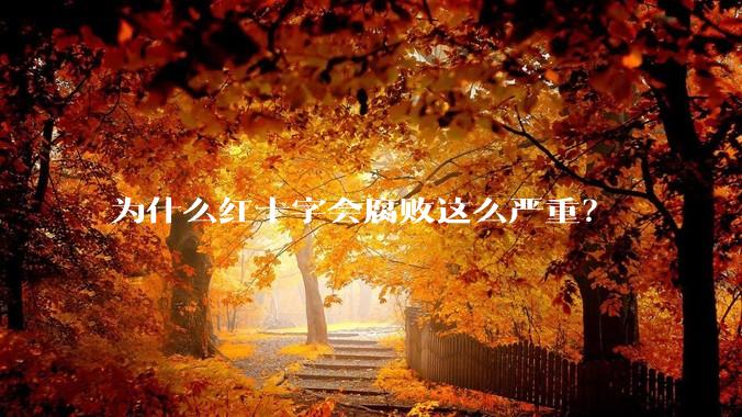 为什么红十字会腐败这么严重？