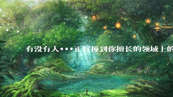 有没有人***正好撞到你擅长的领域上的？