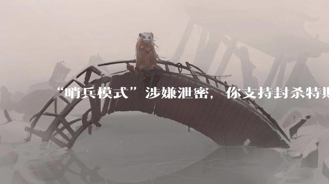 “哨兵模式”涉嫌泄密，你支持封杀特斯拉吗？
