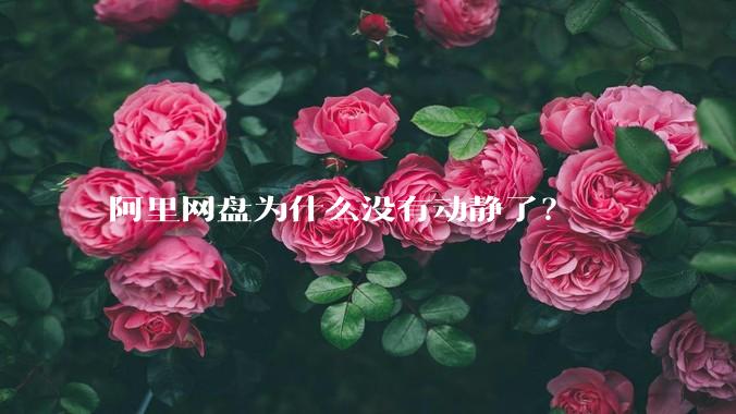 阿里网盘为什么没有动静了？