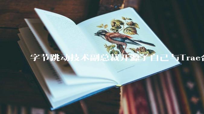 字节跳动技术副总裁开源了自己与Trae合作的首个项目，如何评价目前AI开发的水平？