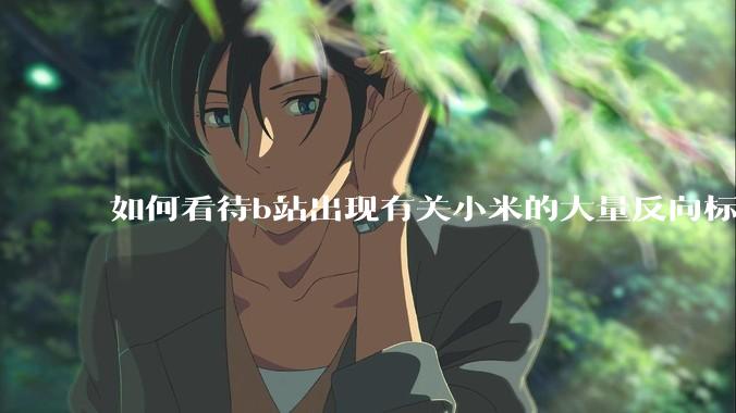 如何看待b站出现有关小米的大量反向标题，号称“薅千亿补贴”的现象？
