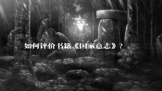 如何评价书籍《国家意志》？