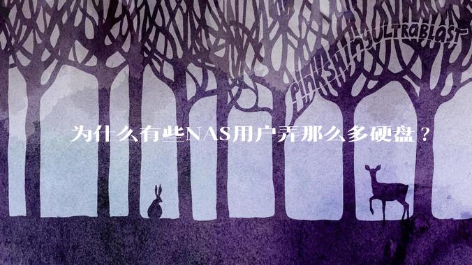 为什么有些NAS用户弄那么多硬盘?