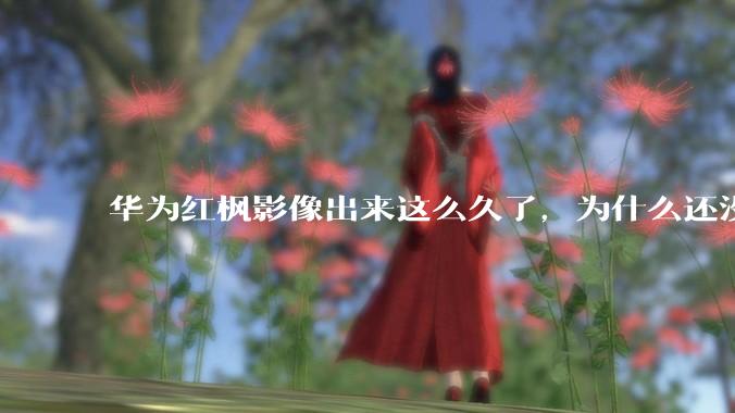 华为红枫影像出来这么久了，为什么还没有友商跟进？是不是说明这是一项可有可无的技术？
