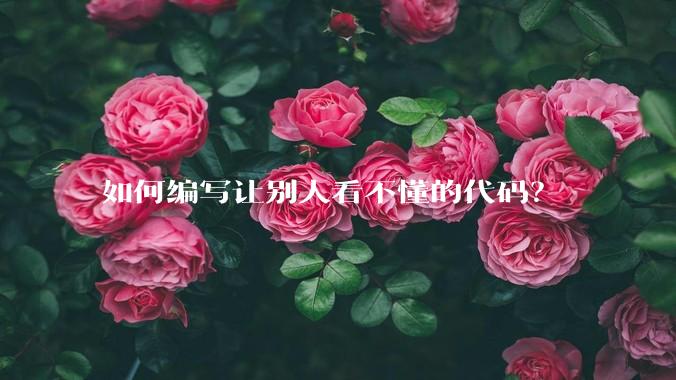 如何编写让别人看不懂的代码？