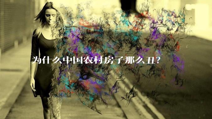 为什么中国农村房子那么丑？