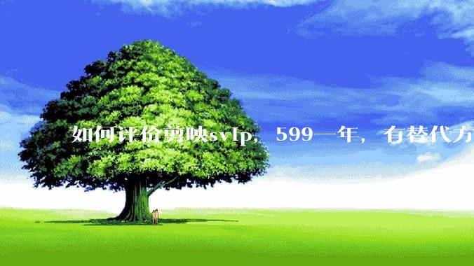 如何评价剪映svip，599一年，有替代方案吗？