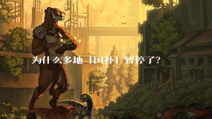 为什么多地「国补」暂停了？