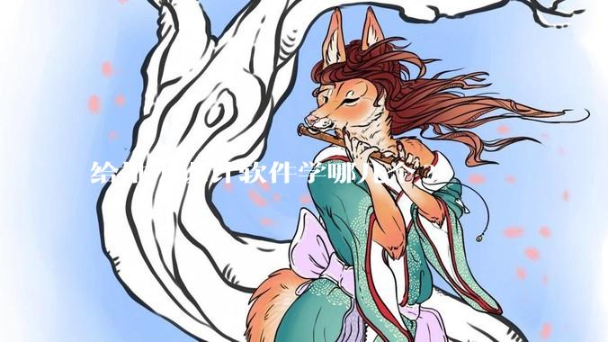 给排水设计软件学哪几个?