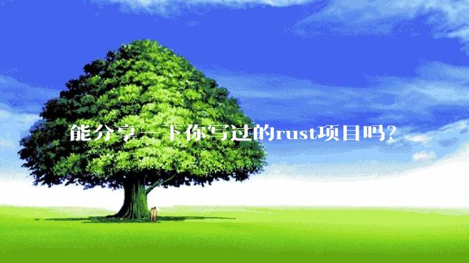 能分享一下你写过的rust项目吗？